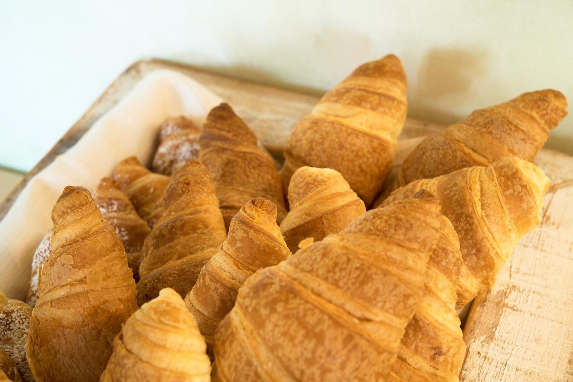 Delfina Palace Hotel Foligno Ngoại thất bức ảnh